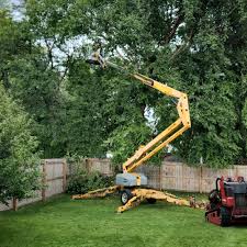 Best Lot and Land Clearing  in South Creek, WA